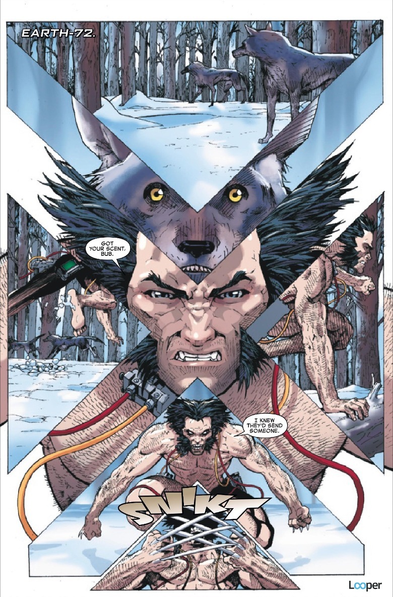 Wolverine is hunted